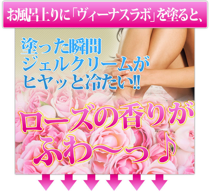 スリムサポートジェル ヴィーナスラボ 120g